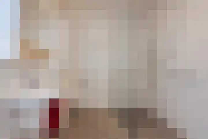 Hertog van Gelresingel 3 Horst thumbnail 24