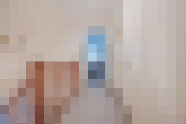 Hertog van Gelresingel 3 Horst thumbnail 27