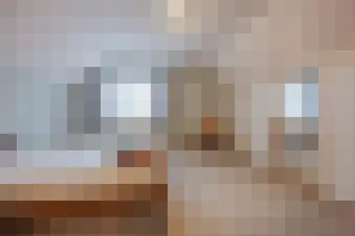 Hertog van Gelresingel 3 Horst thumbnail 28