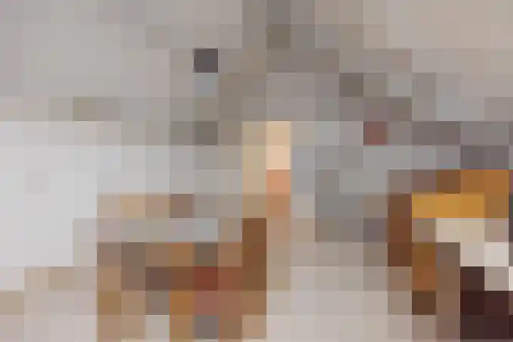 Hertog van Gelresingel 3 Horst thumbnail 31
