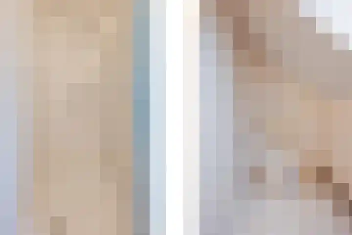 Hertog van Gelresingel 3 Horst thumbnail 32