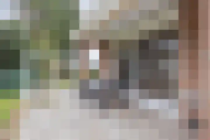 Hertog van Gelresingel 3 Horst thumbnail 36
