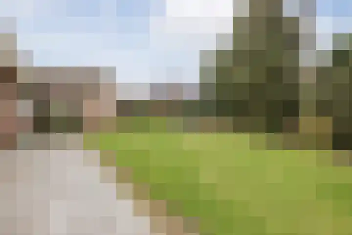 Hertog van Gelresingel 3 Horst thumbnail 38