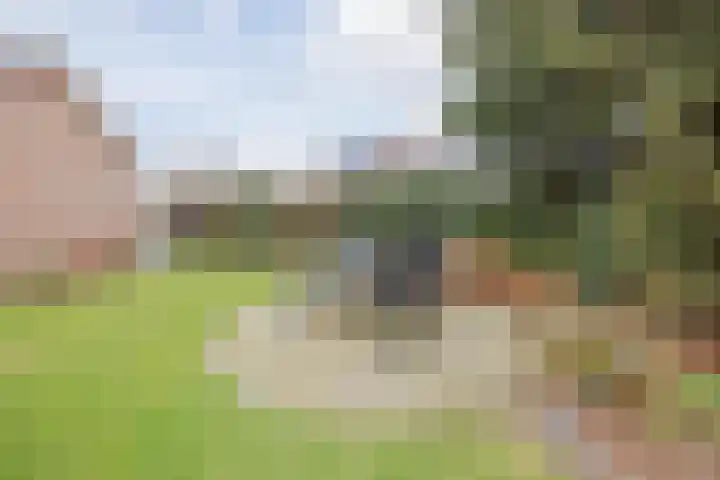 Hertog van Gelresingel 3 Horst thumbnail 39