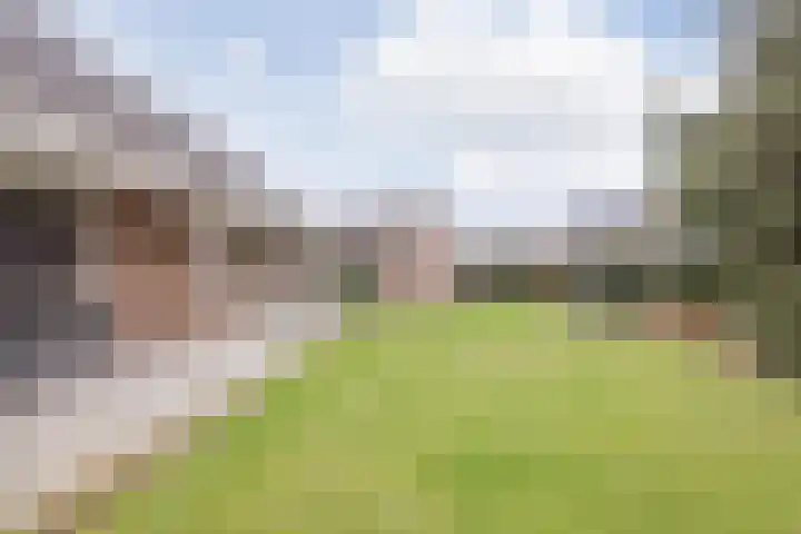 Hertog van Gelresingel 3 Horst thumbnail 4