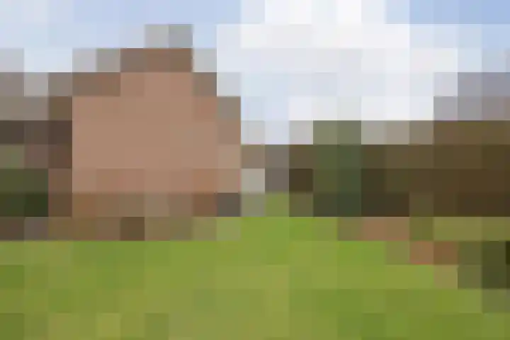 Hertog van Gelresingel 3 Horst thumbnail 40