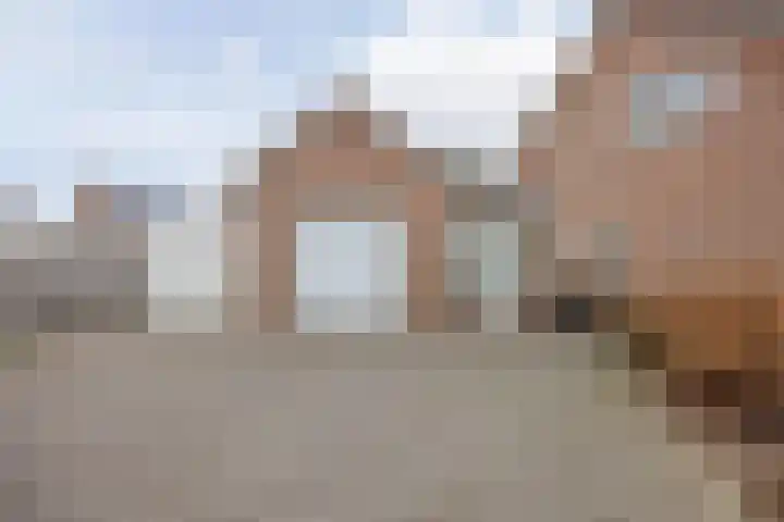 Hertog van Gelresingel 3 Horst thumbnail 43
