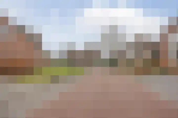 Hertog van Gelresingel 3 Horst thumbnail 44