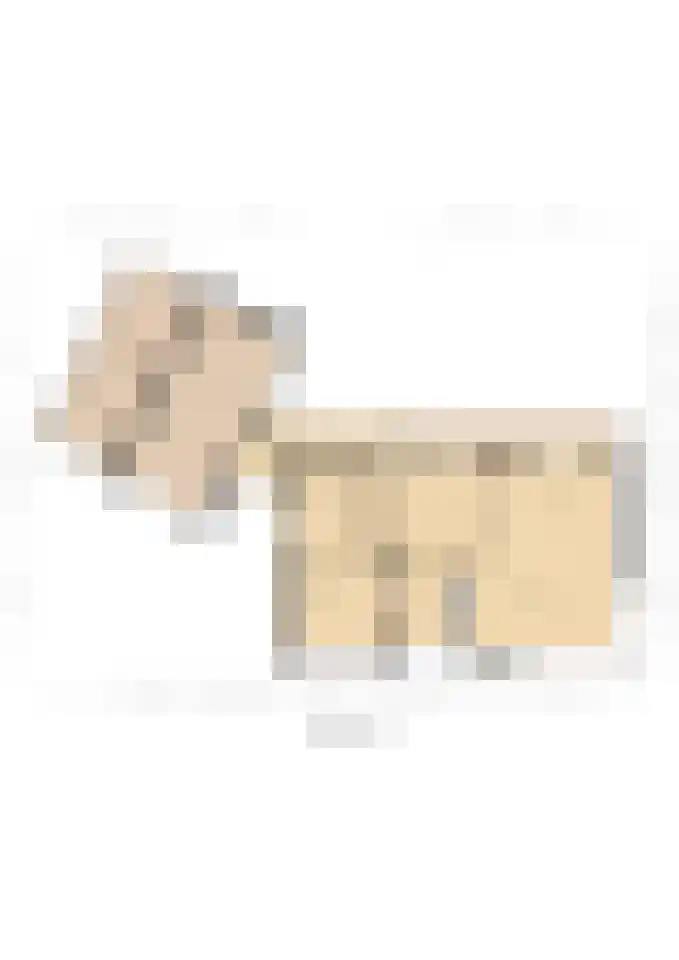 Hertog van Gelresingel 3 Horst thumbnail 46