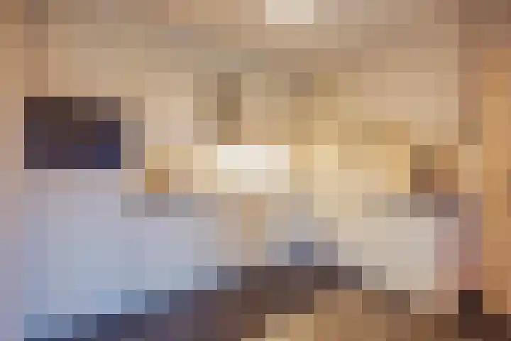 Hertog van Gelresingel 3 Horst thumbnail 6