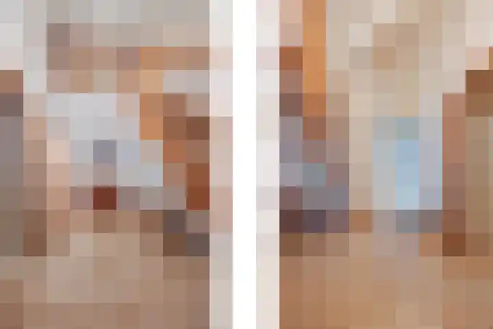 Hertog van Gelresingel 3 Horst thumbnail 8