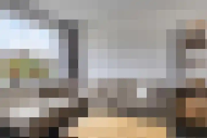 Hertog van Gelrestraat 13 Borculo thumbnail 13