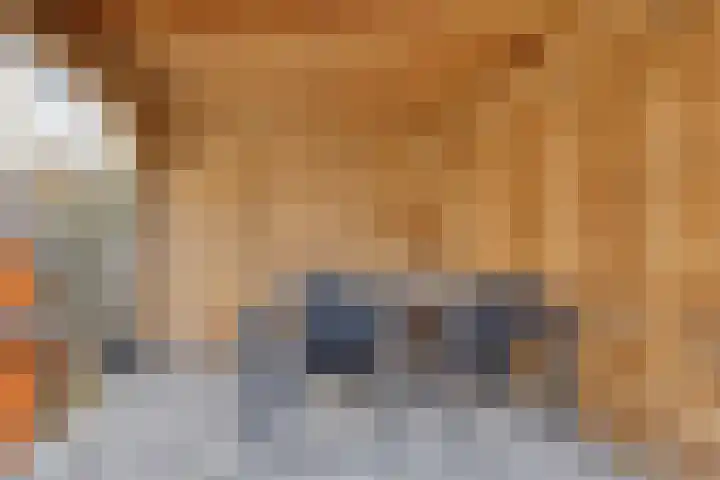 Hertog van Gelrestraat 13 Borculo thumbnail 28