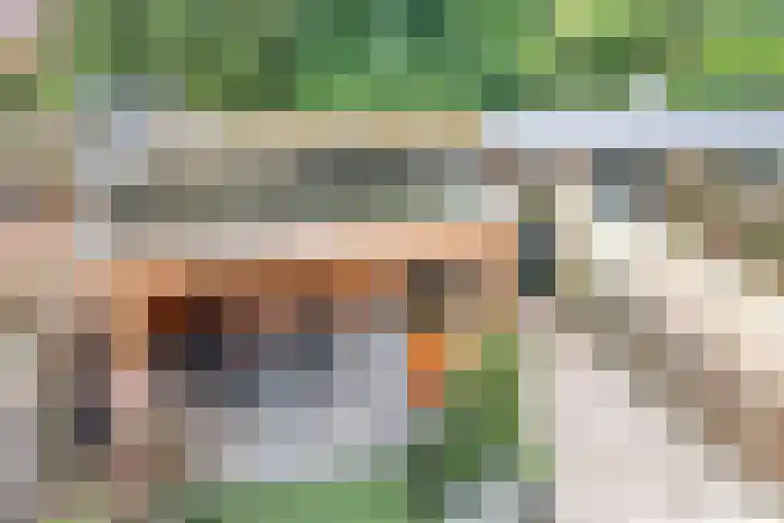 Hertog van Gelrestraat 13 Borculo thumbnail 29