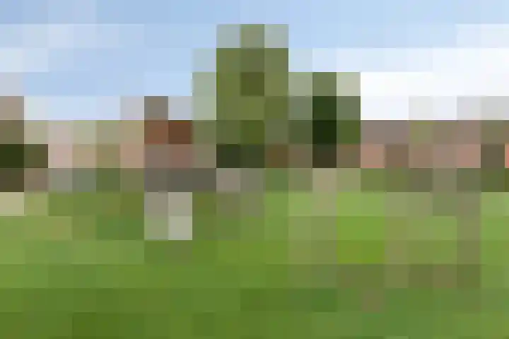 Hertog van Gelrestraat 13 Borculo thumbnail 32