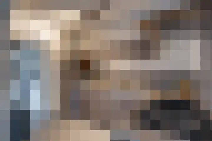 Hertog van Gelrestraat 26 Borculo thumbnail 11