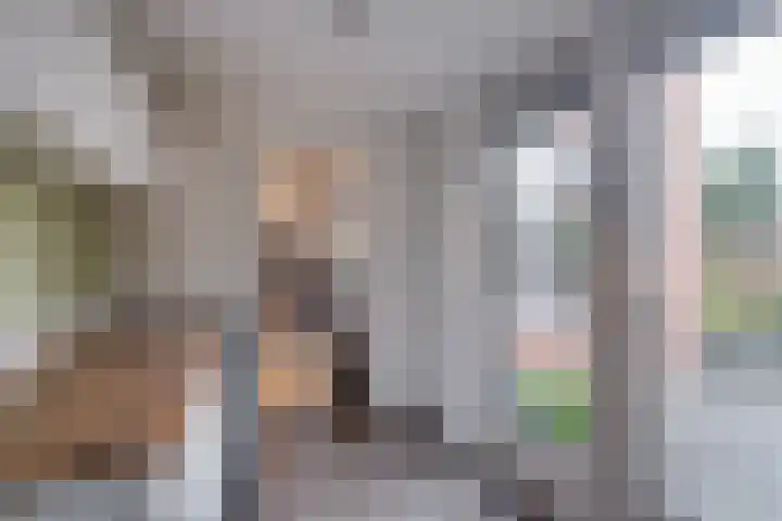 Hertog van Gelrestraat 26 Borculo thumbnail 13