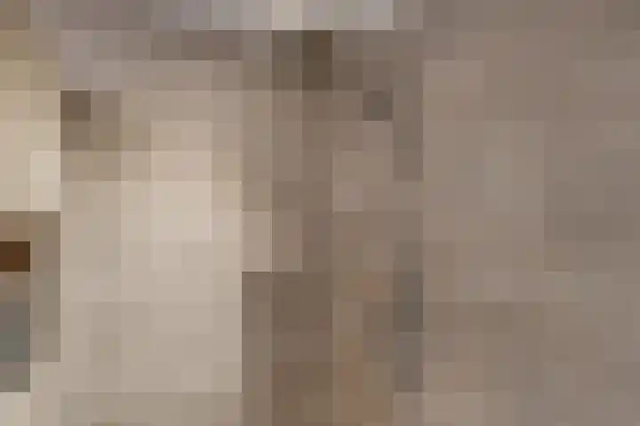 Hertog van Gelrestraat 26 Borculo thumbnail 24