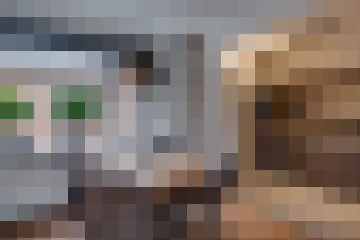 Hertog van Gelrestraat 26 Borculo thumbnail 9