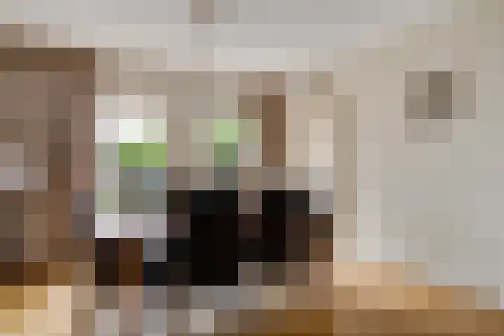 Hertog van Gulickstraat 24 Herkenbosch thumbnail 11