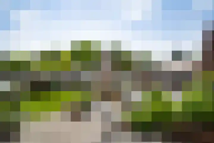 Hertog van Gulickstraat 24 Herkenbosch thumbnail 18