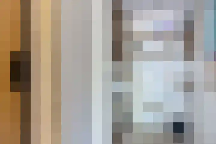 Hertog van Saxenlaan 10 Franeker thumbnail 11