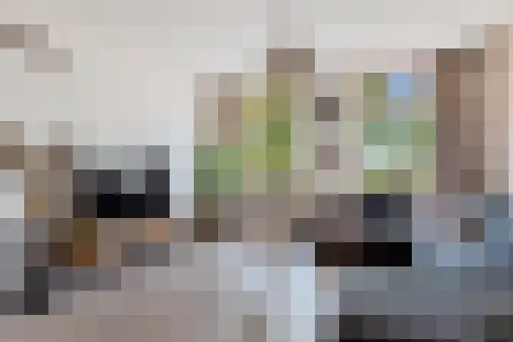 Hertog van Saxenlaan 10 Franeker thumbnail 12