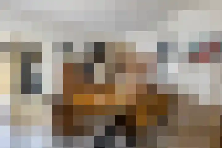 Hertog van Saxenlaan 10 Franeker thumbnail 14