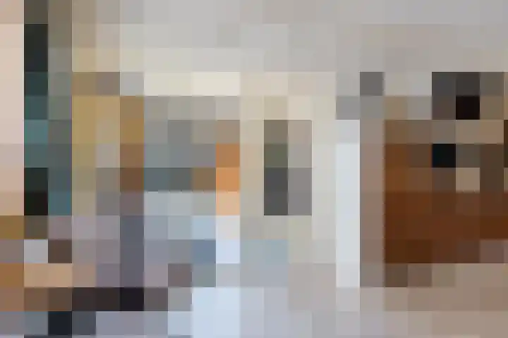 Hertog van Saxenlaan 10 Franeker thumbnail 18