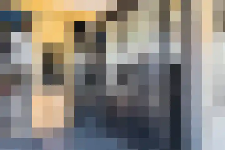 Hertog van Saxenlaan 10 Franeker thumbnail 21