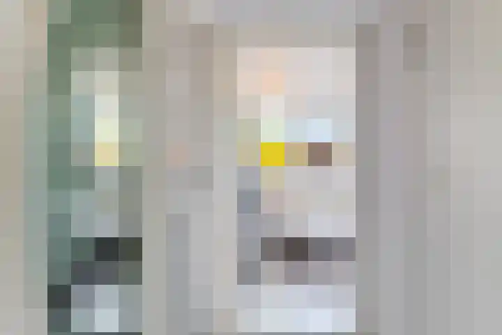 Hertog van Saxenlaan 10 Franeker thumbnail 22