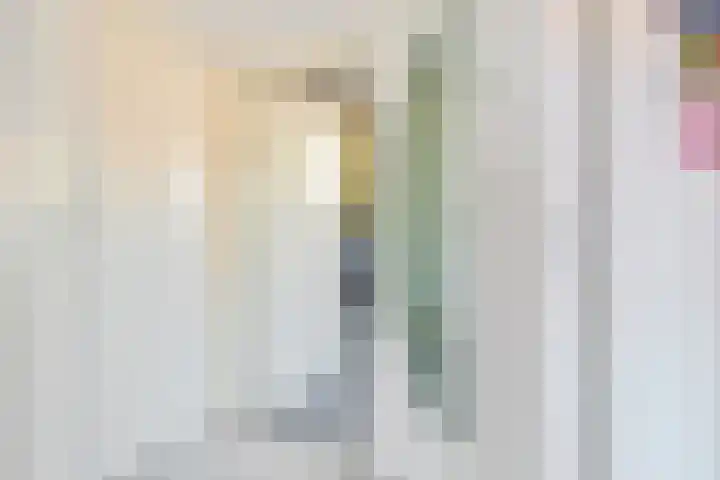 Hertog van Saxenlaan 10 Franeker thumbnail 23
