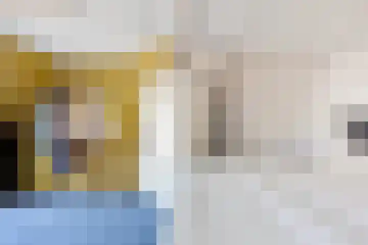 Hertog van Saxenlaan 10 Franeker thumbnail 27