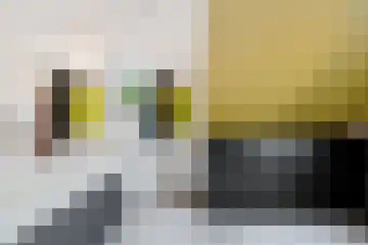 Hertog van Saxenlaan 10 Franeker thumbnail 28
