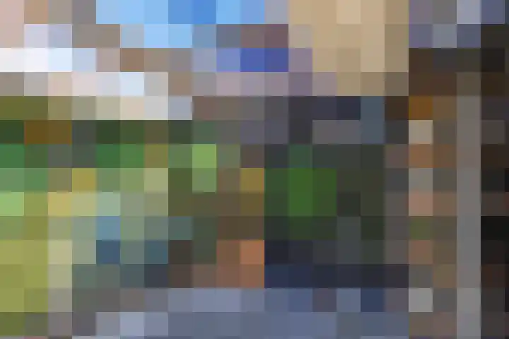 Hertog van Saxenlaan 10 Franeker thumbnail 38