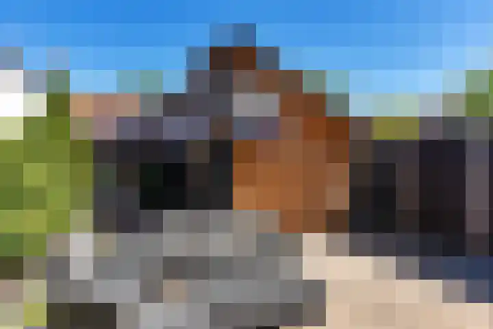 Hertog van Saxenlaan 10 Franeker thumbnail 4