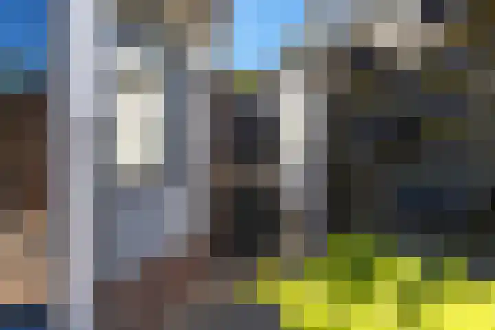 Hertog van Saxenlaan 10 Franeker thumbnail 40