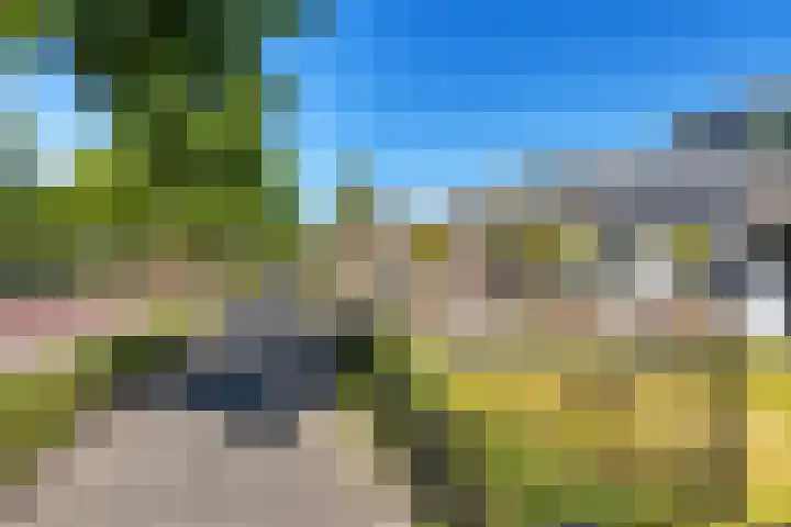 Hertog van Saxenlaan 10 Franeker thumbnail 41