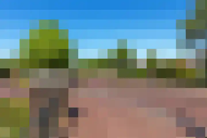 Hertog van Saxenlaan 10 Franeker thumbnail 43