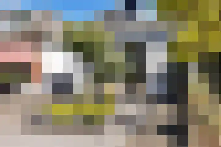 Hertog van Saxenlaan 10 Franeker thumbnail 7