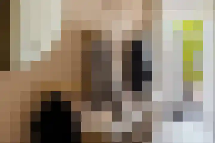 Hertog van Saxenlaan 10 Franeker thumbnail 9