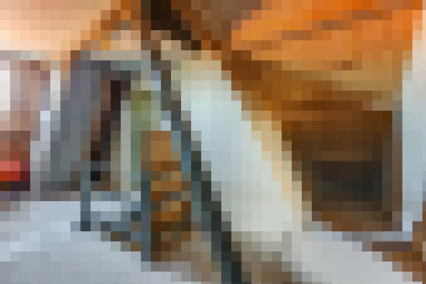 Hertog van Saxenlaan 11 Franeker thumbnail 31