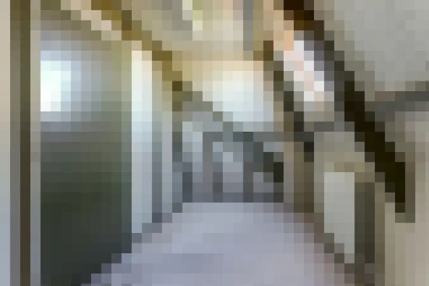 Hertog van Saxenlaan 11 Franeker thumbnail 34