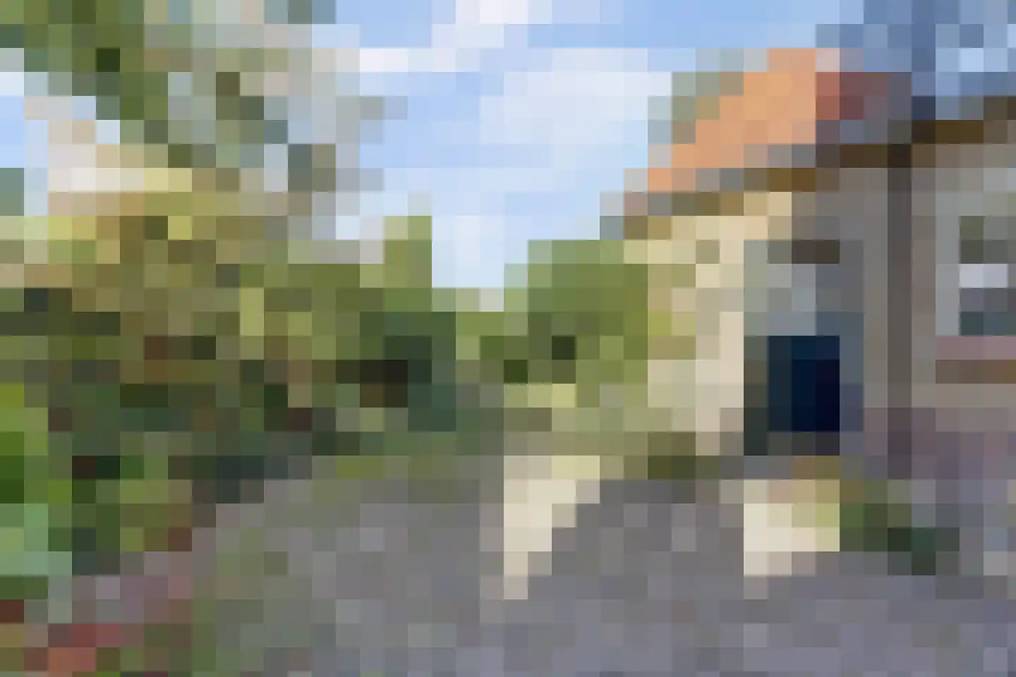 Hertog van Saxenlaan 11 Franeker thumbnail 43