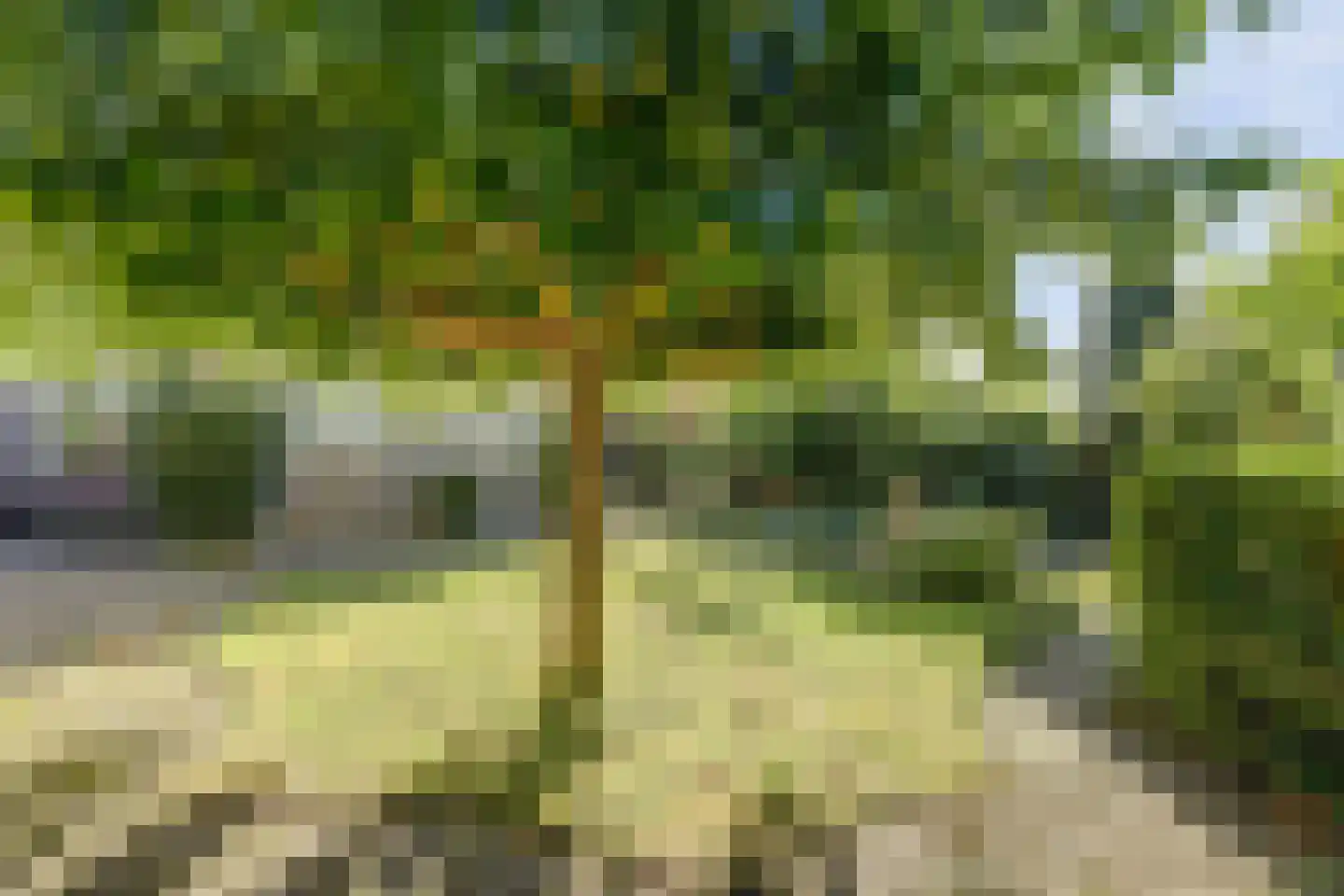 Hertog van Saxenlaan 11 Franeker thumbnail 44