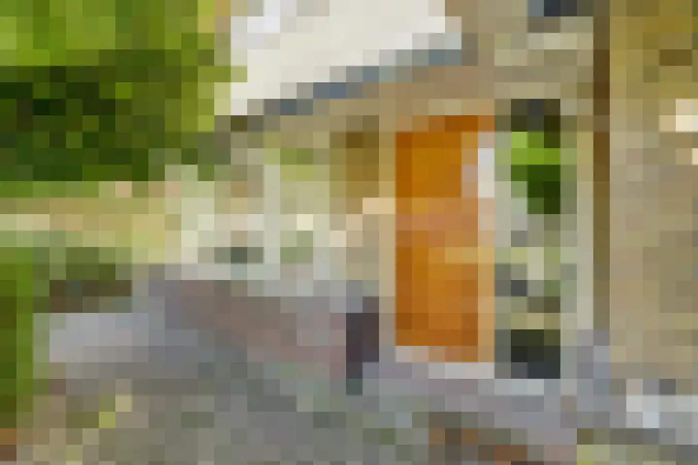 Hertog van Saxenlaan 11 Franeker thumbnail 50