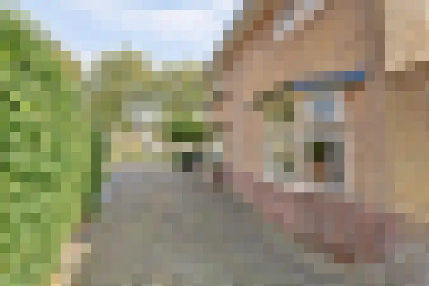 Hertog van Saxenlaan 11 Franeker thumbnail 52