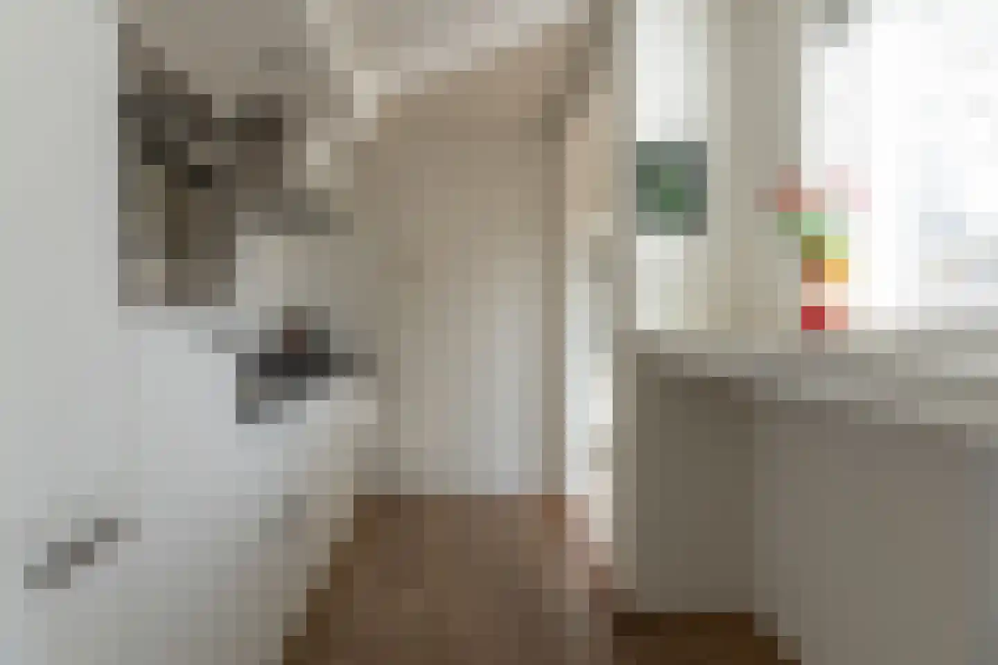 Hertog van Saxenlaan 21 Franeker thumbnail 16