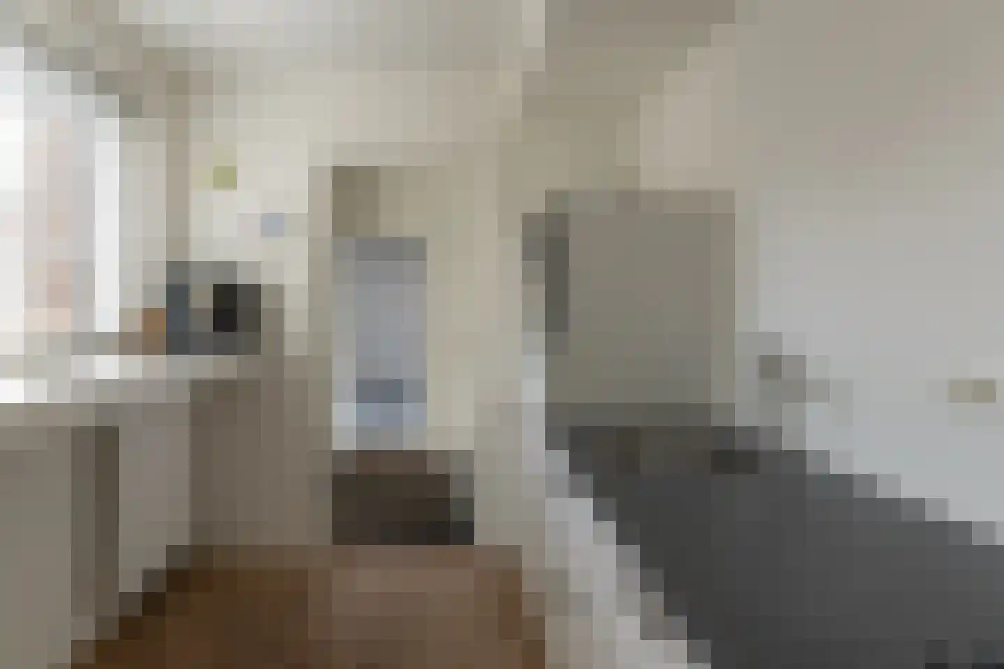 Hertog van Saxenlaan 21 Franeker thumbnail 18
