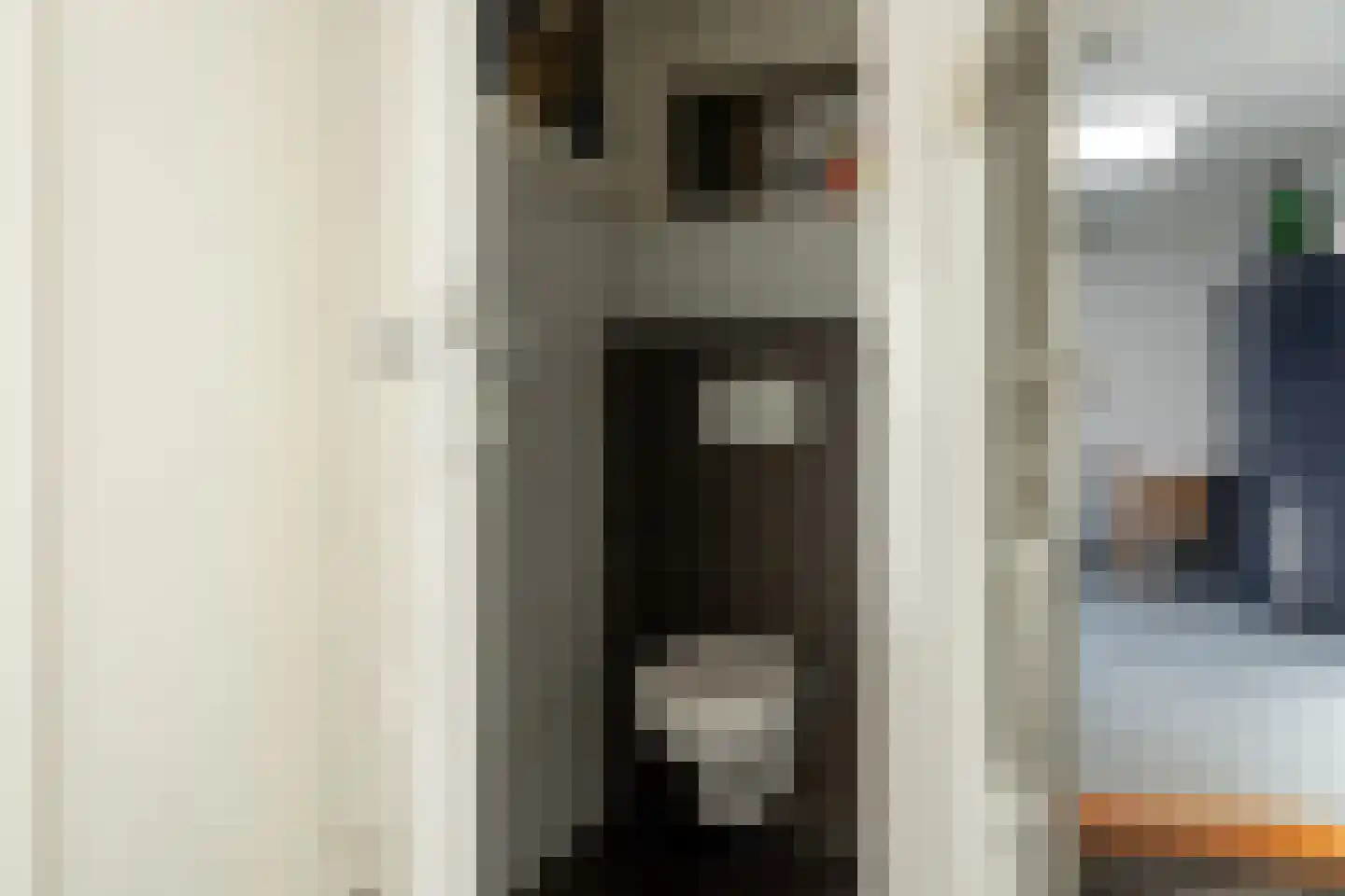 Hertog van Saxenlaan 21 Franeker thumbnail 20